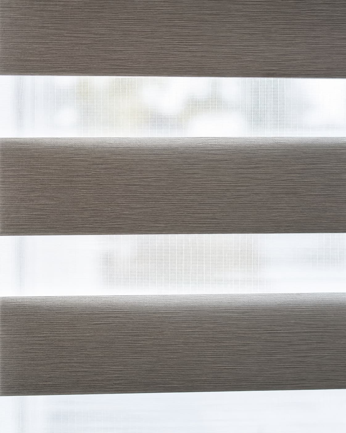 Sunlight across zebra blind bands