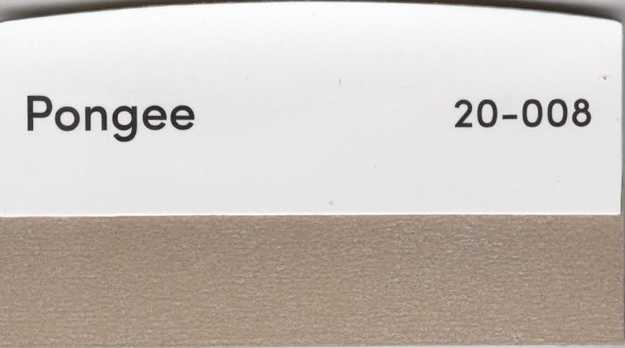 Pongee fabric swatch
