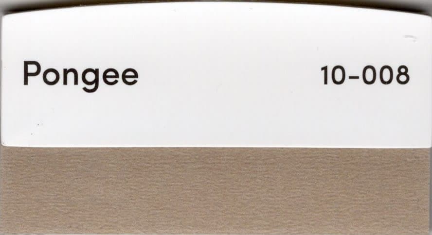 Pongee fabric swatch