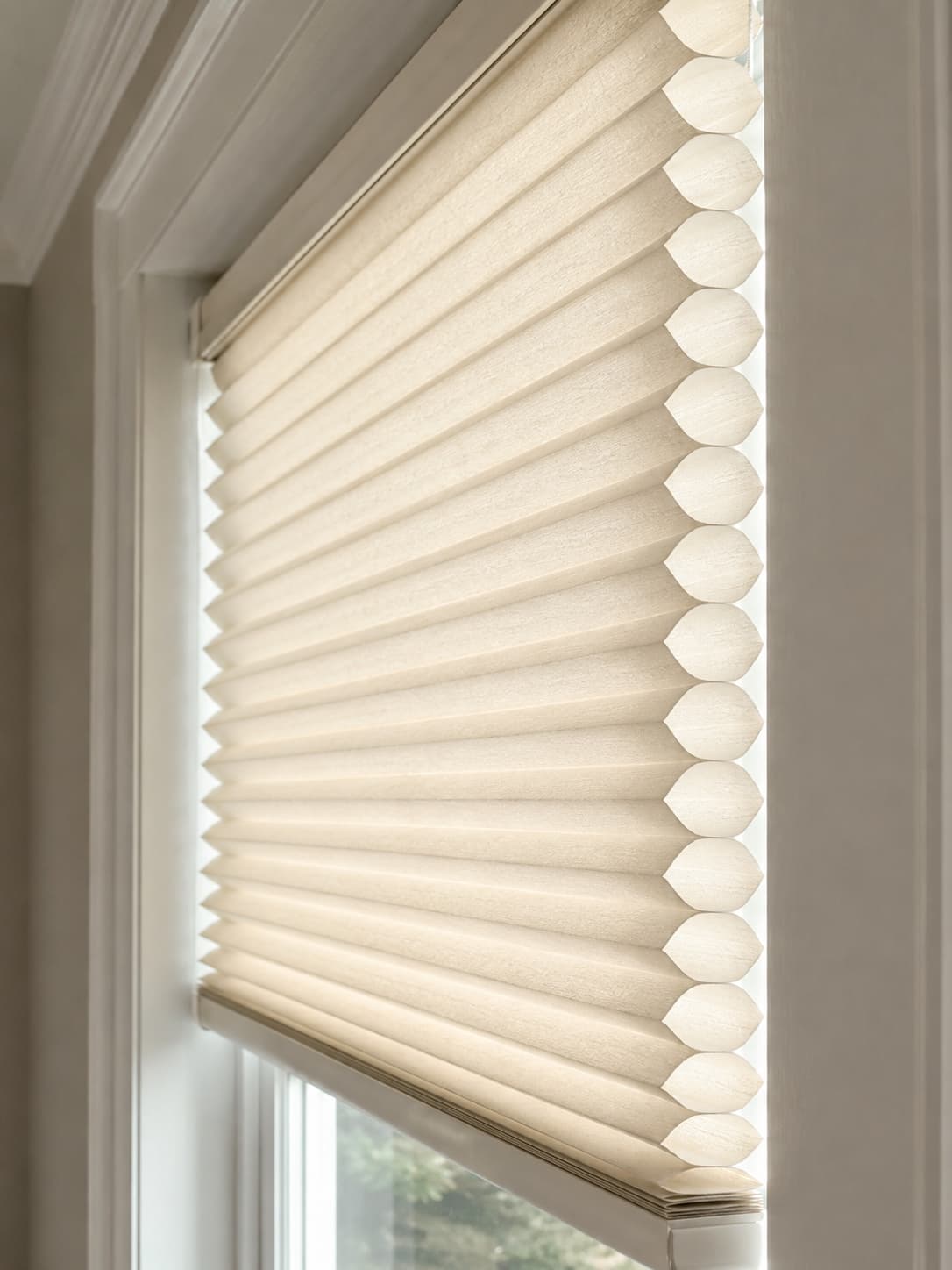 Cellular shade honeycomb cells against a sunlit window