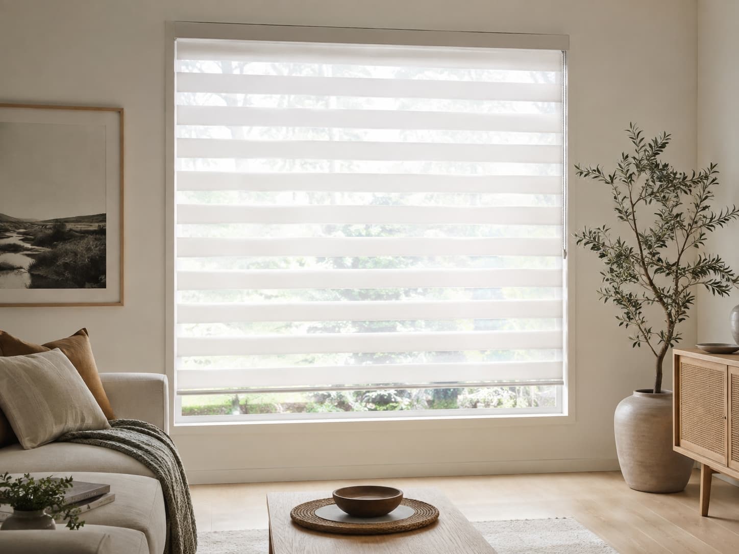 Zebra Blinds